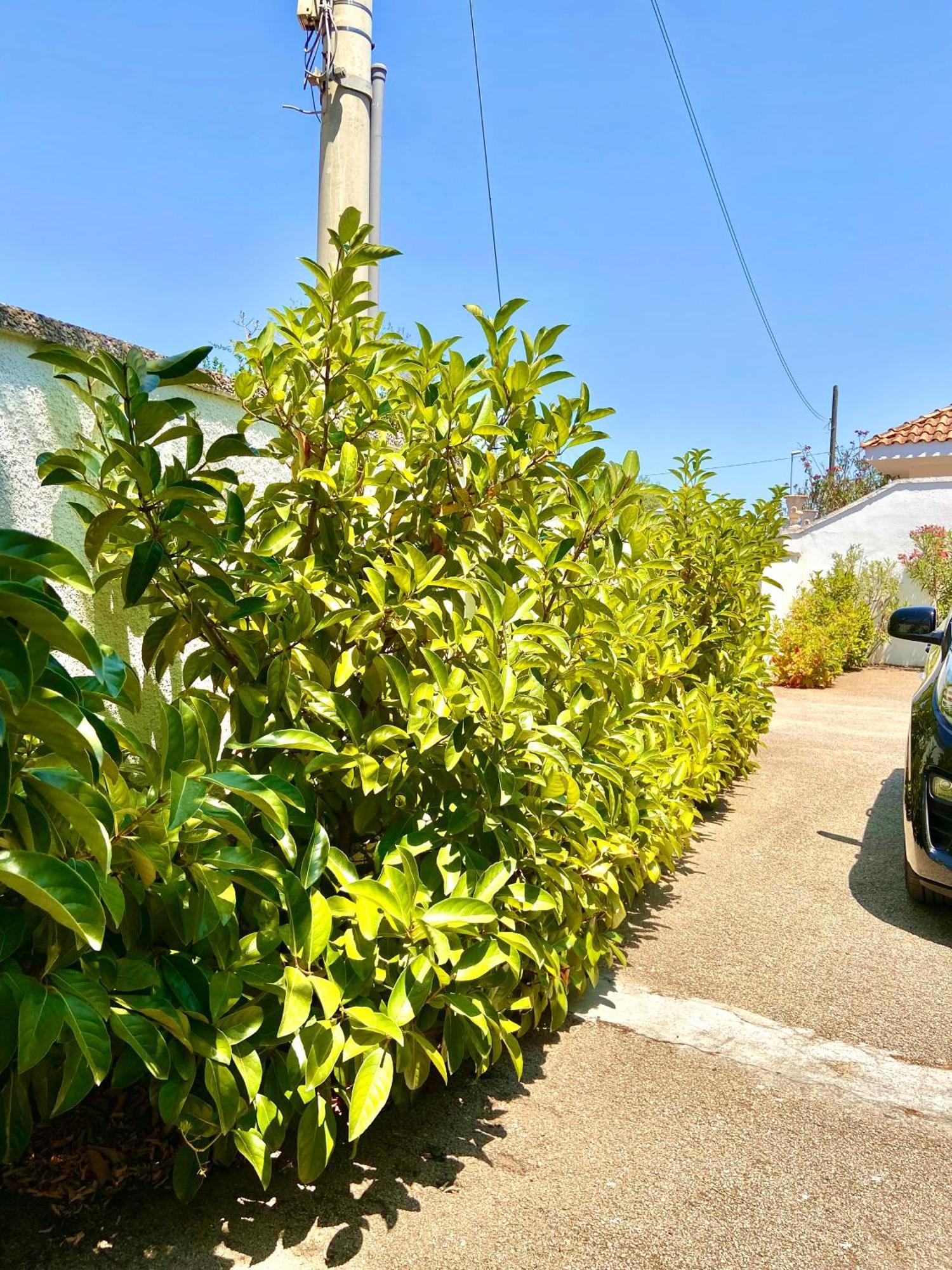 B&B Costa Azzurra Порто-Чезарео Екстер'єр фото
